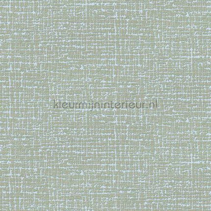 Dutch Wallcoverings Embellish DE120103 | Bestellen bij https://www.kleurmijninterieur.nl/