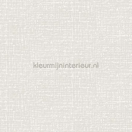 Dutch Wallcoverings Embellish DE120101 | Bestellen bij https://www.kleurmijninterieur.nl/