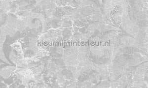 Noordwand Vanilla Lime 14238 | Bestellen bij https://www.kleurmijninterieur.nl/
