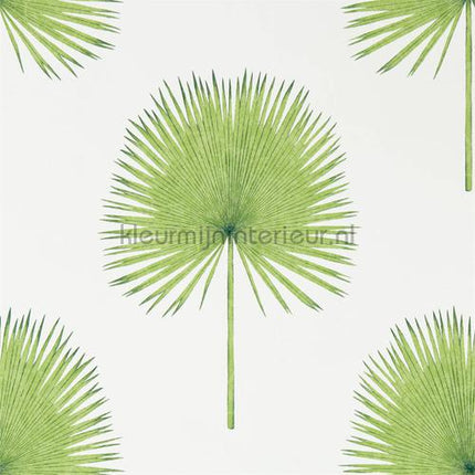 Sanderson Glasshouse 216636 | Bestellen bij https://www.kleurmijninterieur.nl/