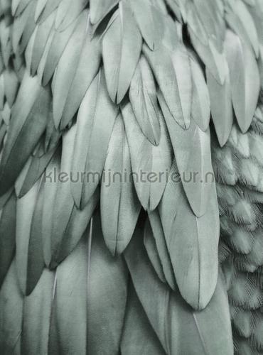 Livingwalls ARTist dd119845 | Bestellen bij https://www.kleurmijninterieur.nl/