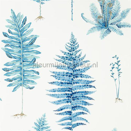 Sanderson Glasshouse 216635 | Bestellen bij https://www.kleurmijninterieur.nl/