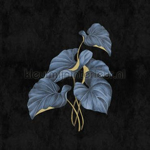AS Creation Walls by Patel 3 DD122500 | Bestellen bij https://www.kleurmijninterieur.nl/