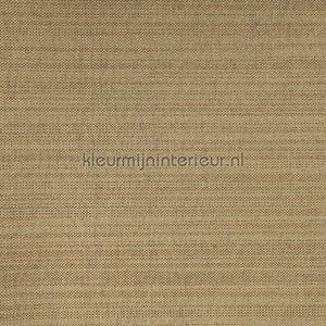 Kleurmijninterieur Natuurlijke Weefsels GPW-PW-401 | Bestellen bij https://www.kleurmijninterieur.nl/