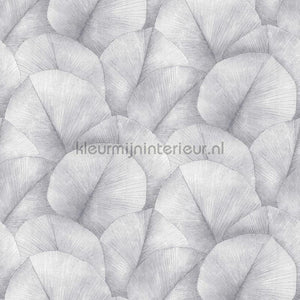 Noordwand Kumano 34598 | Bestellen bij https://www.kleurmijninterieur.nl/