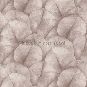 Noordwand Kumano 34599 | Bestellen bij https://www.kleurmijninterieur.nl/