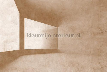 AS Creation Walls by Patel 3 DD122144 | Bestellen bij https://www.kleurmijninterieur.nl/