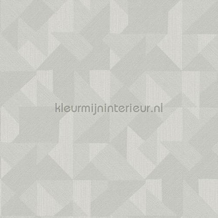 Hookedonwalls New Wave 24812 | Bestellen bij https://www.kleurmijninterieur.nl/