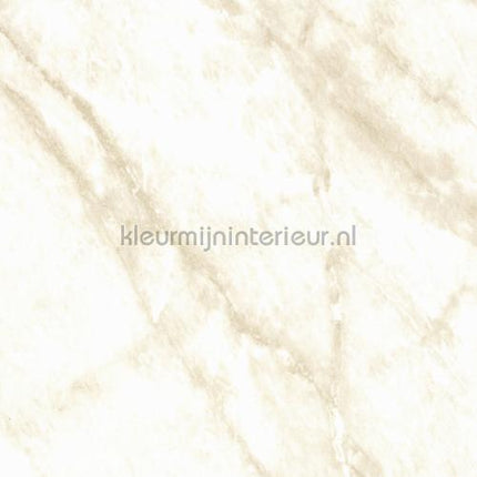 Bodaq Marmer hd711 | Bestellen bij https://www.kleurmijninterieur.nl/