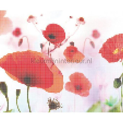 Architects Paper AP Digital 2 470548 200 grams | Bestellen bij https://www.kleurmijninterieur.nl/