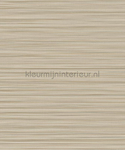 Eijffinger Cozumel 50534 | Bestellen bij https://www.kleurmijninterieur.nl/