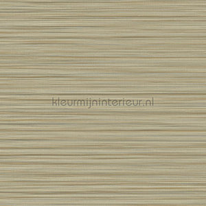 Eijffinger Cozumel 50536 | Bestellen bij https://www.kleurmijninterieur.nl/