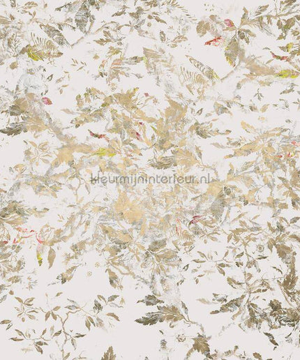 Komar RAW RSX6-038 | Bestellen bij https://www.kleurmijninterieur.nl/