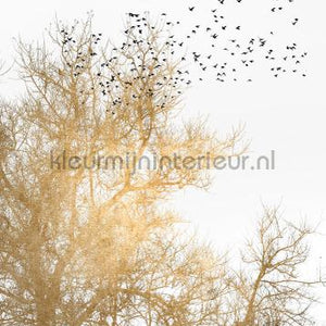 Livingwalls ARTist dd119897 | Bestellen bij https://www.kleurmijninterieur.nl/