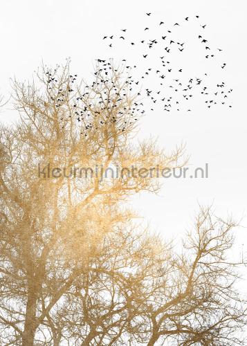 Livingwalls ARTist dd119897 | Bestellen bij https://www.kleurmijninterieur.nl/