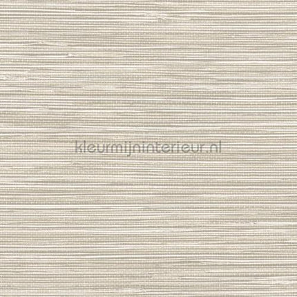Hookedonwalls Tahiti TA25040 | Bestellen bij https://www.kleurmijninterieur.nl/