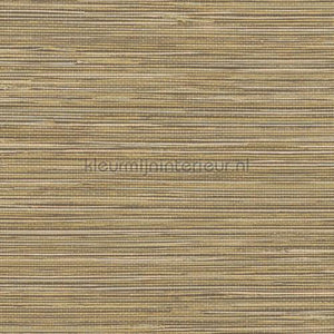 Hookedonwalls Tahiti TA25042 | Bestellen bij https://www.kleurmijninterieur.nl/