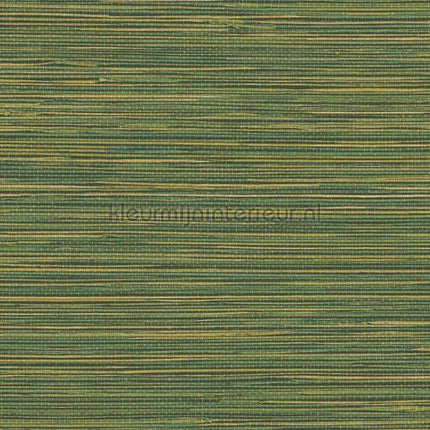 Hookedonwalls Tahiti TA25045 | Bestellen bij https://www.kleurmijninterieur.nl/