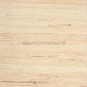 Eijffinger Natural Wallcoverings II 389518 | Bestellen bij https://www.kleurmijninterieur.nl/