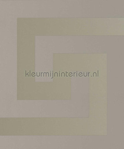 Versace wallpaper Versace 5 386092 | Bestellen bij https://www.kleurmijninterieur.nl/