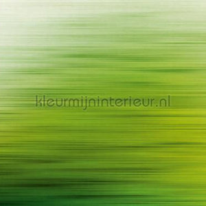 Livingwalls Metropolitan Stories THE WALL 382611 | Bestellen bij https://www.kleurmijninterieur.nl/