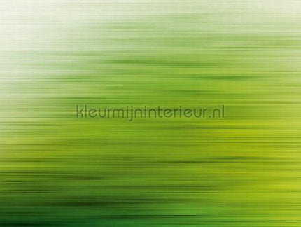 Livingwalls Metropolitan Stories THE WALL 382611 | Bestellen bij https://www.kleurmijninterieur.nl/
