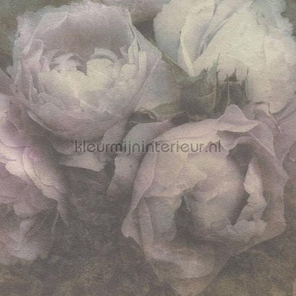 Kleurmijninterieur Bloemen kmi309 | Bestellen bij https://www.kleurmijninterieur.nl/