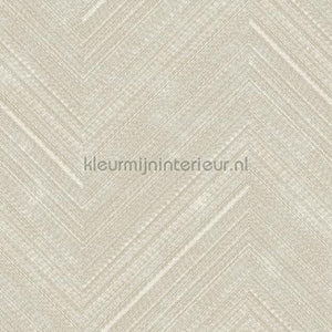 Hookedonwalls Leopard Walk 15318 | Bestellen bij https://www.kleurmijninterieur.nl/