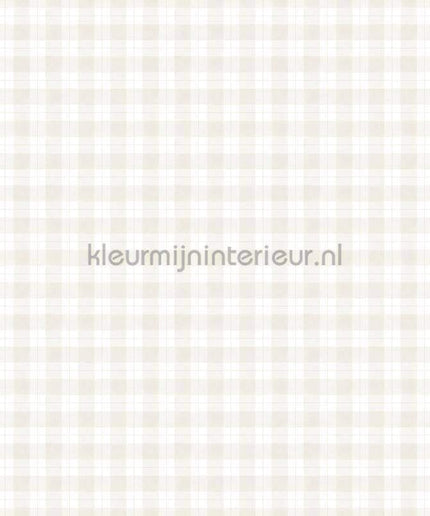 Sandberg Kolonin 245-21 | Bestellen bij https://www.kleurmijninterieur.nl/