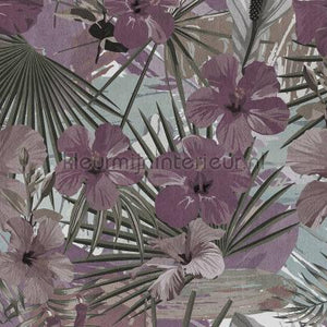 AS Creation Walls by Patel dd111066 | Bestellen bij https://www.kleurmijninterieur.nl/