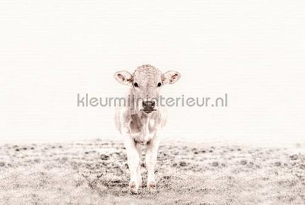 Livingwalls ARTist dd119833 | Bestellen bij https://www.kleurmijninterieur.nl/