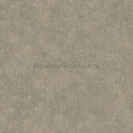 Hookedonwalls Leopard Walk 15306 | Bestellen bij https://www.kleurmijninterieur.nl/
