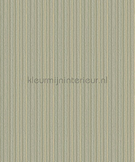 Hookedonwalls Tropical Weave 18849 | Bestellen bij https://www.kleurmijninterieur.nl/