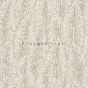 Hookedonwalls Barklay 35150 | Bestellen bij https://www.kleurmijninterieur.nl/