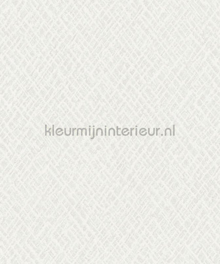 Hookedonwalls Terra Cotta 42107 | Bestellen bij https://www.kleurmijninterieur.nl/