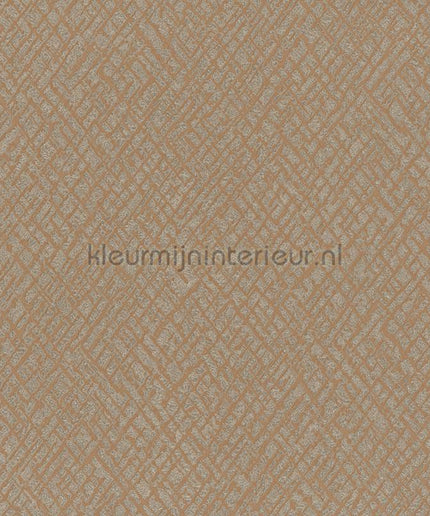 Hookedonwalls Terra Cotta 42108 | Bestellen bij https://www.kleurmijninterieur.nl/