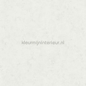 Hookedonwalls Terra Cotta 42119 | Bestellen bij https://www.kleurmijninterieur.nl/