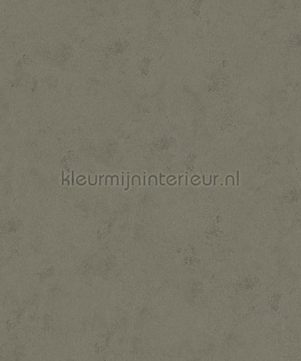 Hookedonwalls Terra Cotta 42122 | Bestellen bij https://www.kleurmijninterieur.nl/