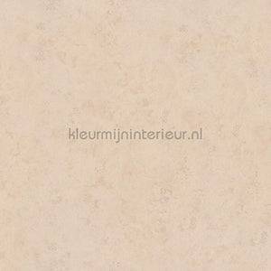 Hookedonwalls Terra Cotta 42124 | Bestellen bij https://www.kleurmijninterieur.nl/
