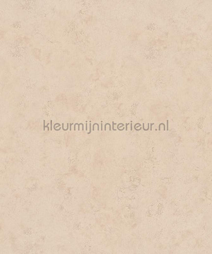 Hookedonwalls Terra Cotta 42124 | Bestellen bij https://www.kleurmijninterieur.nl/