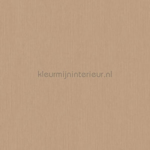 Hookedonwalls Terra Cotta 42134 | Bestellen bij https://www.kleurmijninterieur.nl/
