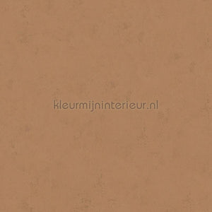 Hookedonwalls Terra Cotta 42138 | Bestellen bij https://www.kleurmijninterieur.nl/