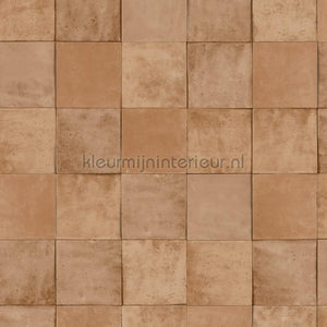 Hookedonwalls Terra Cotta 42144 | Bestellen bij https://www.kleurmijninterieur.nl/