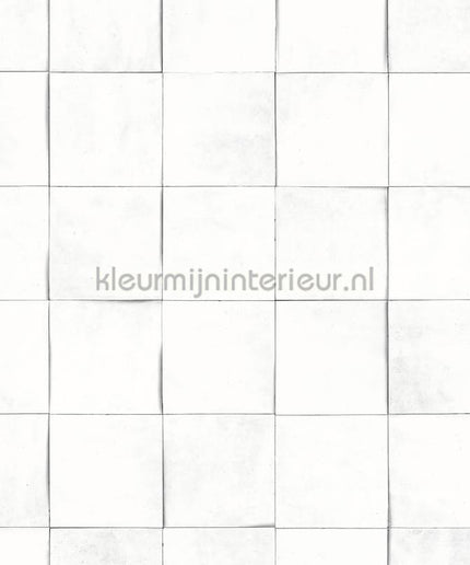 Hookedonwalls Terra Cotta 42146 | Bestellen bij https://www.kleurmijninterieur.nl/