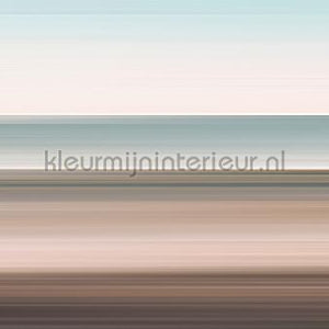 AS Creation Walls by Patel 3 DD122116 | Bestellen bij https://www.kleurmijninterieur.nl/