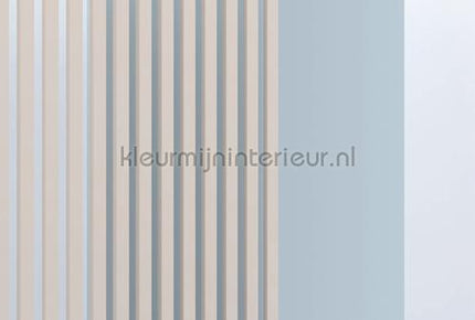 AS Creation Walls by Patel 3 DD122640 | Bestellen bij https://www.kleurmijninterieur.nl/
