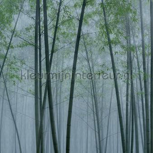 AS Creation Walls by Patel 3 DD122104 | Bestellen bij https://www.kleurmijninterieur.nl/