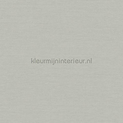 Hookedonwalls New Wave 24800 | Bestellen bij https://www.kleurmijninterieur.nl/