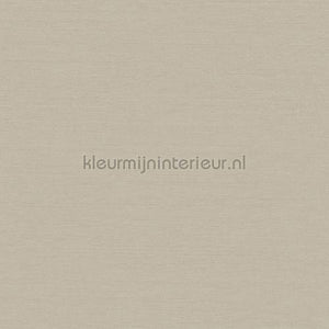Hookedonwalls New Wave 24801 | Bestellen bij https://www.kleurmijninterieur.nl/