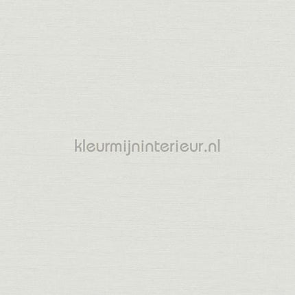 Hookedonwalls New Wave 24803 | Bestellen bij https://www.kleurmijninterieur.nl/
